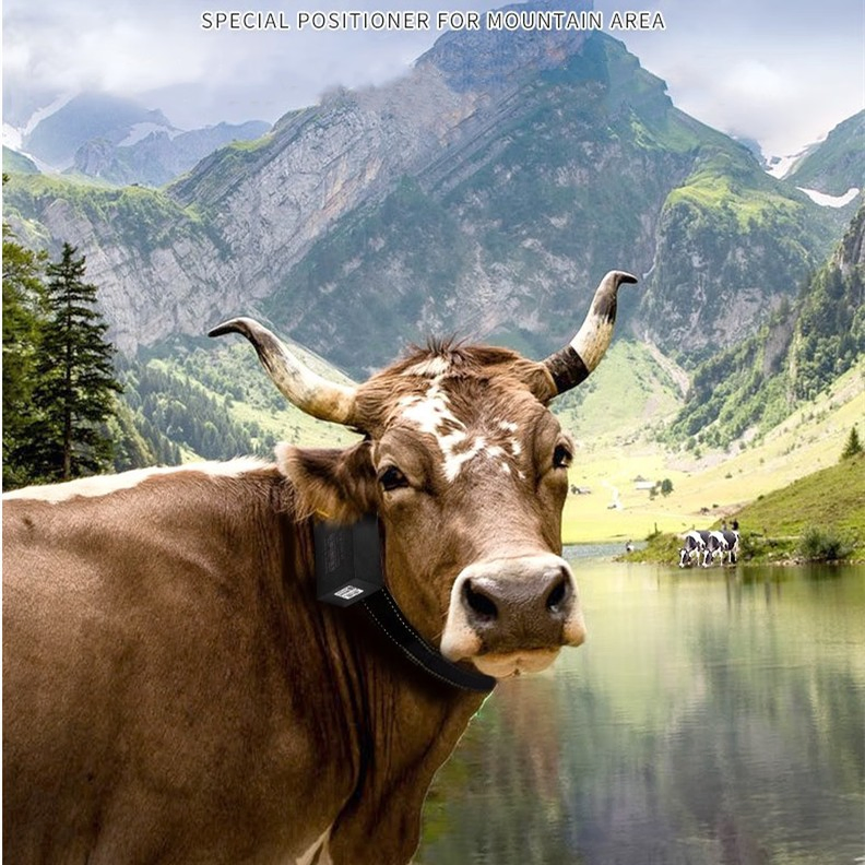 Dual System Tracker Locator for Find My Device Mini Bt Smart Tracker Locator for Key, Wallet, Pet, Car