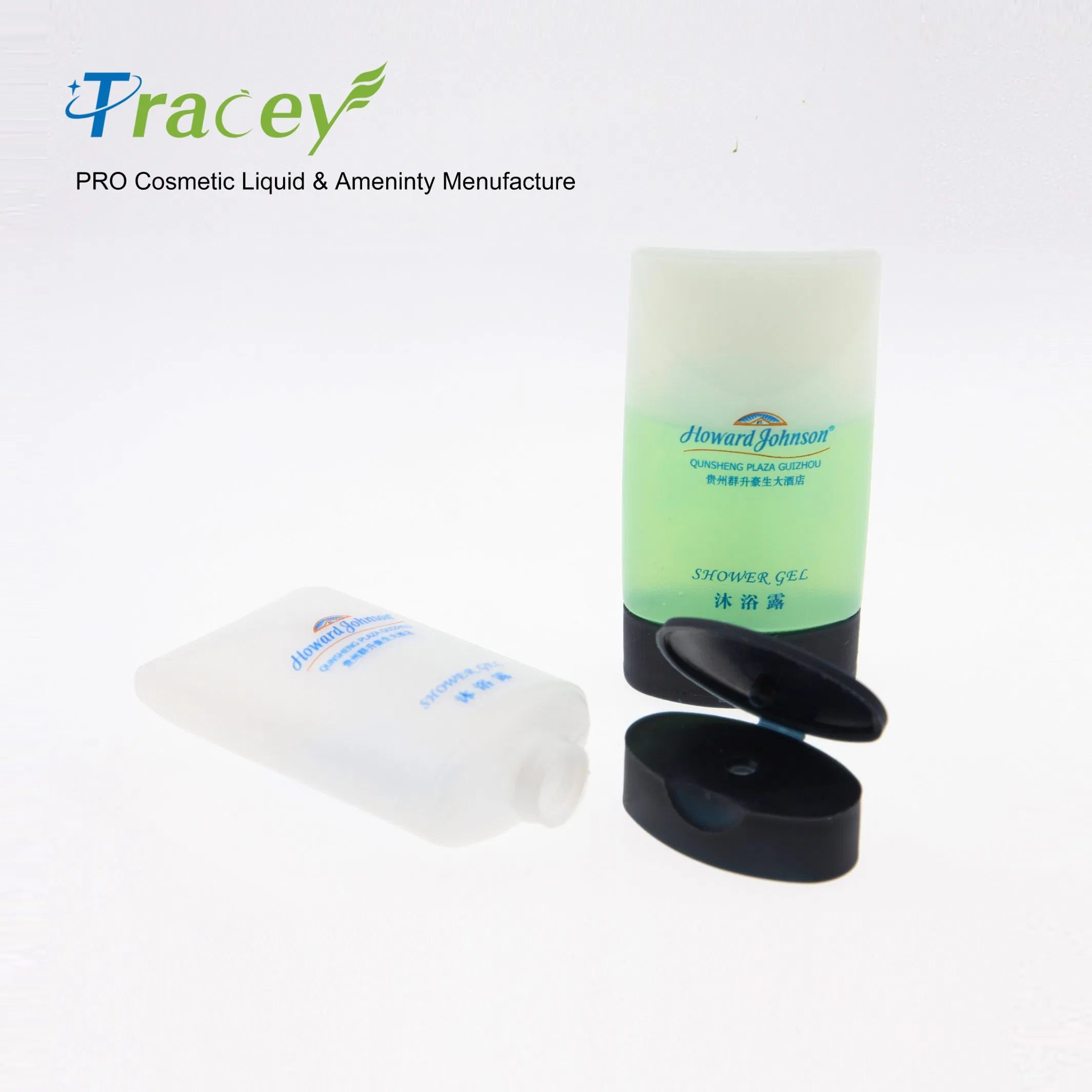Portable Laundry and Care Kit for Hotel Travelers and Home Use
