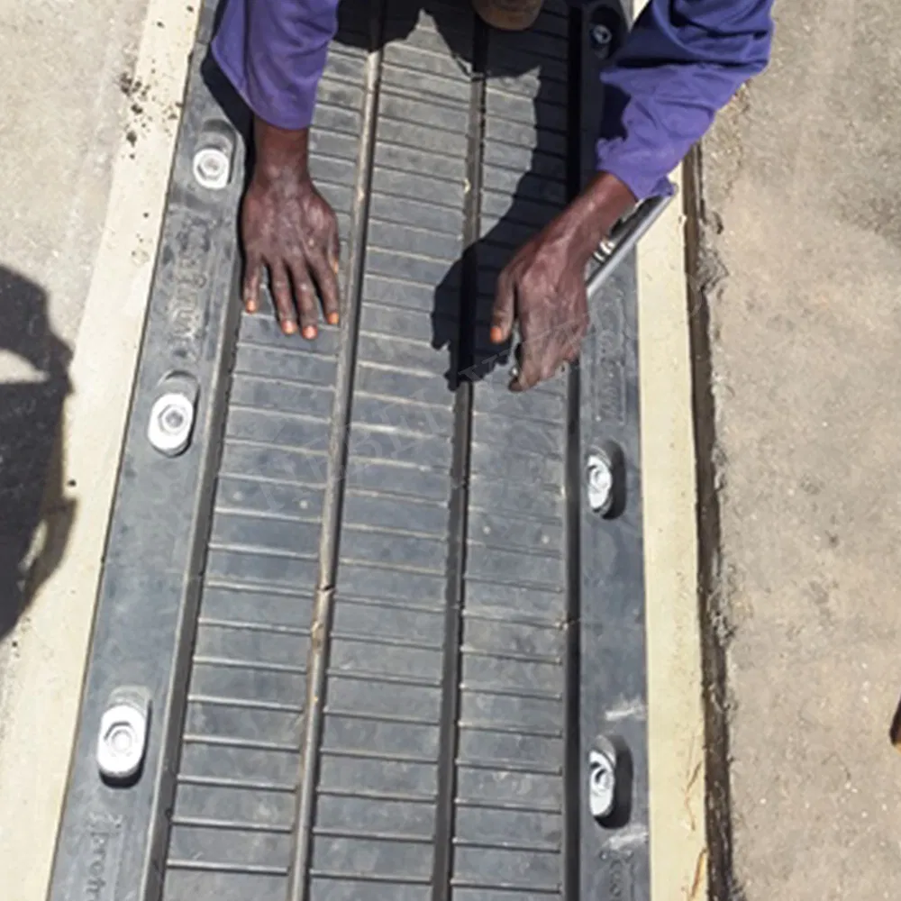 Bridge Damping Elastic Expansion Joint