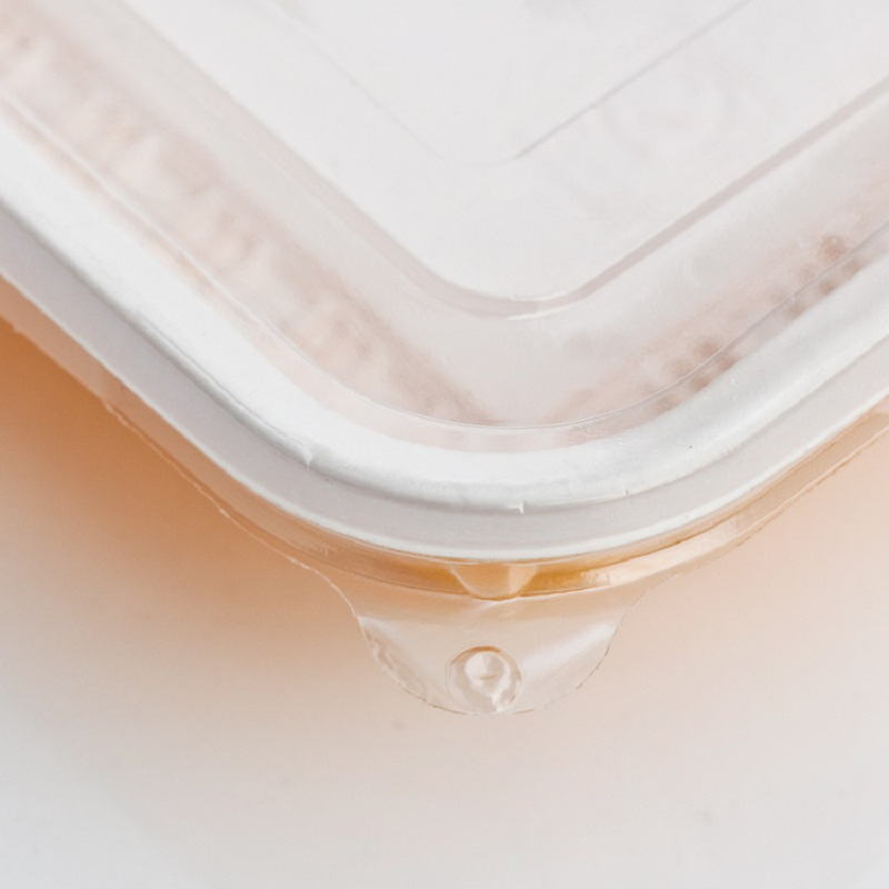 Disposable Fast Food Container Box Plastic Tray Container Wholesale