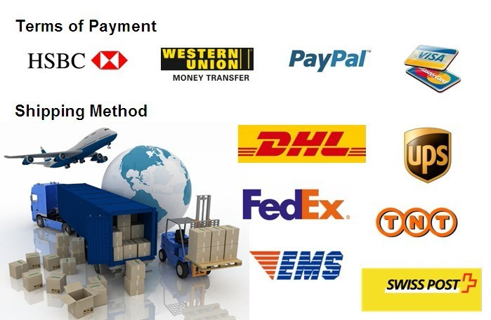 Iradio Two Way Radio Dp550, 256CH Walkie Talkie