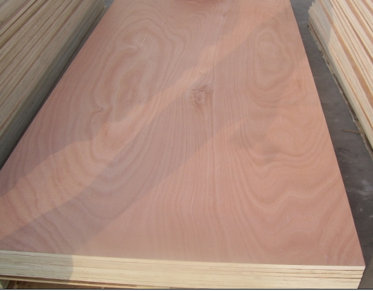 Фанера Polar Core, Hardwood Core, Combi Core 1220x2440 мм