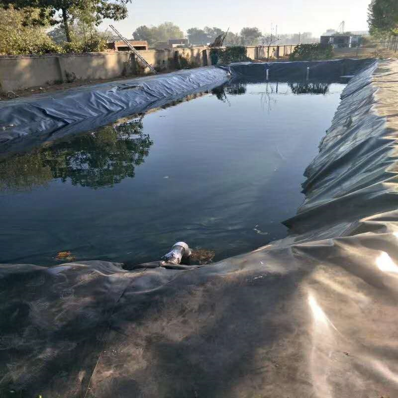 HDPE Geomembrane Factory Price 0.5mm 1mm 1.5mm 2mm HDPE Geomembrane Composite for Pond Liner, Landfill Liner & Anti-Seepage Construction