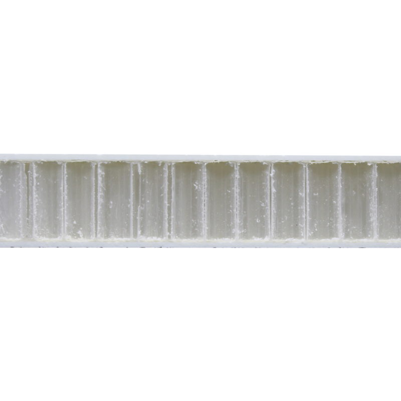 50mm 70mm 75mm 100mm GRP FRP Fiberglass Aluminium Honeycomb Panels for Clean Room Wall Partition