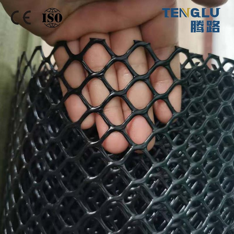 Geocomposite Net Three Dimensional Composite Network HDPE Geonet with Good Price