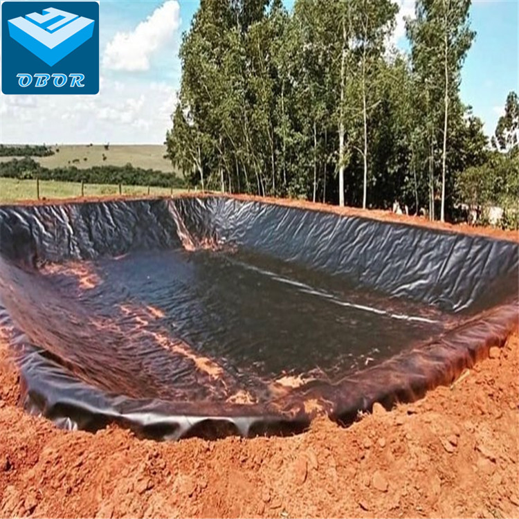 ASTM HDPE Sheet Geomembrane for Prawn Shrimp Farm