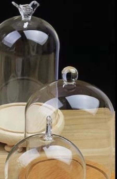 Glass Cloche Bell Jar