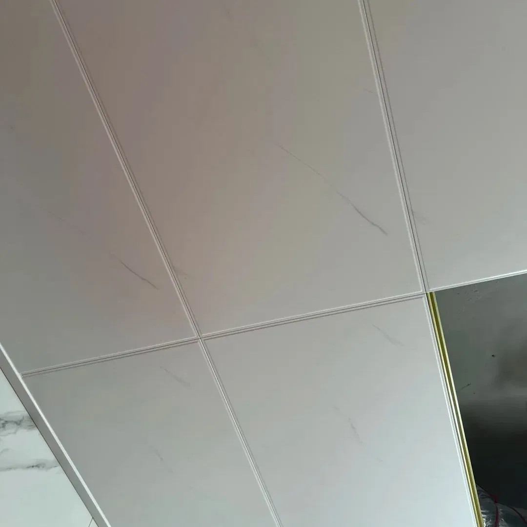 Sleek Aluminum Ceiling Tiles in Custom Colors - Free Samples Available