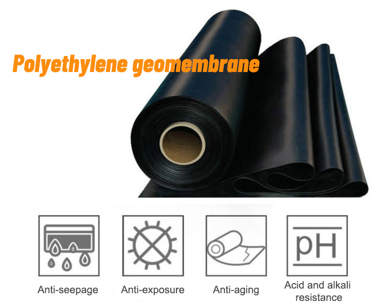 HDPE Geomembrane Black Plastic Rolls for Shrimp Hatchery Fish Pond