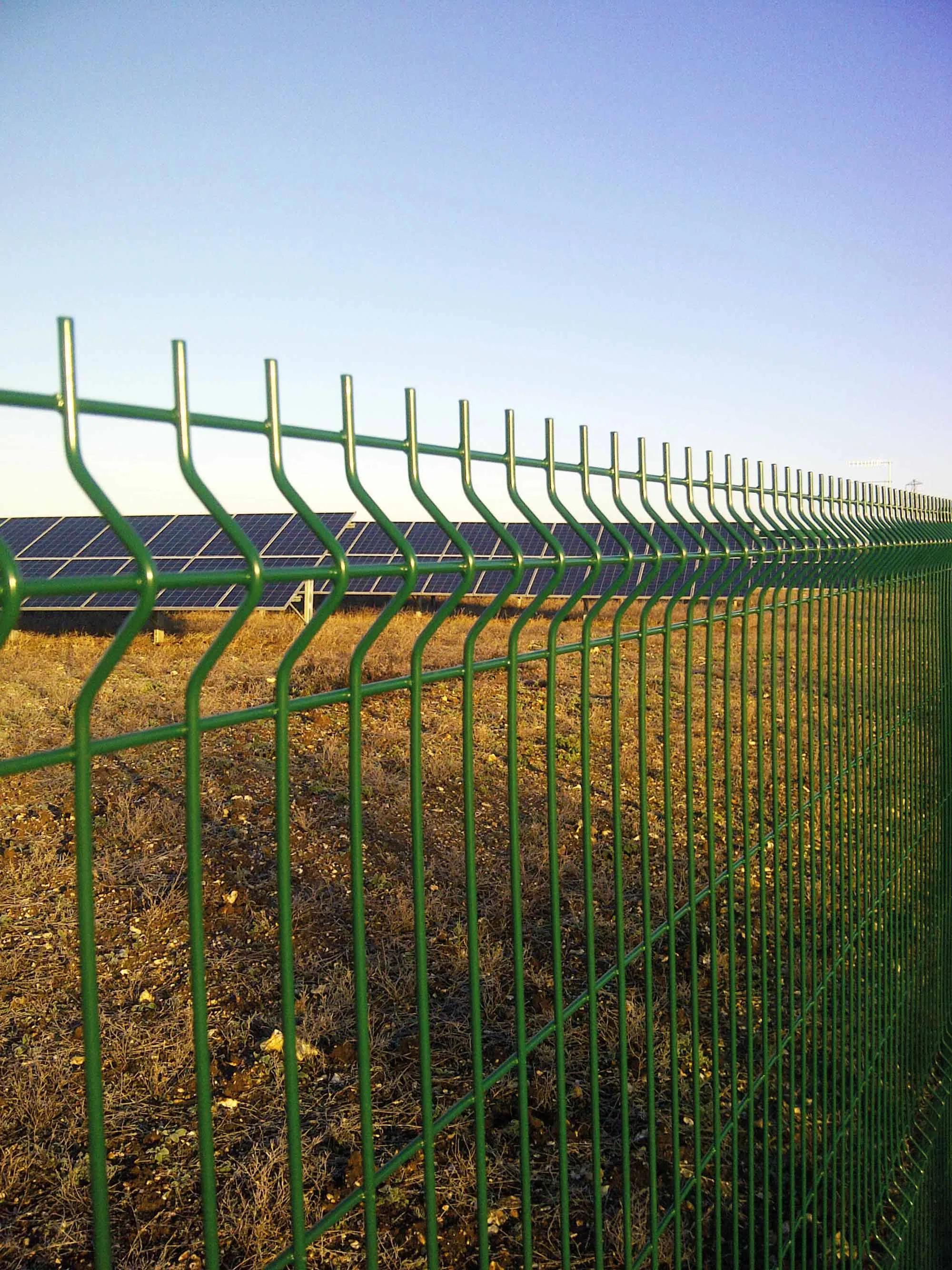 Color Painted Triangle Bending 3D Galvanized Welded Wire Mesh Fence Panels Home Outdoor 3D Curved Garden Fence for Fence Panel