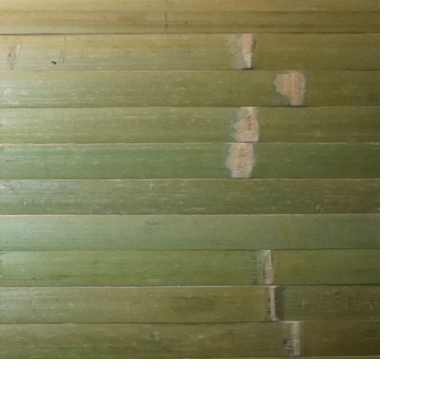Chinese Natural Bamboo New Style Wallpaper Panels with Different for Home Use