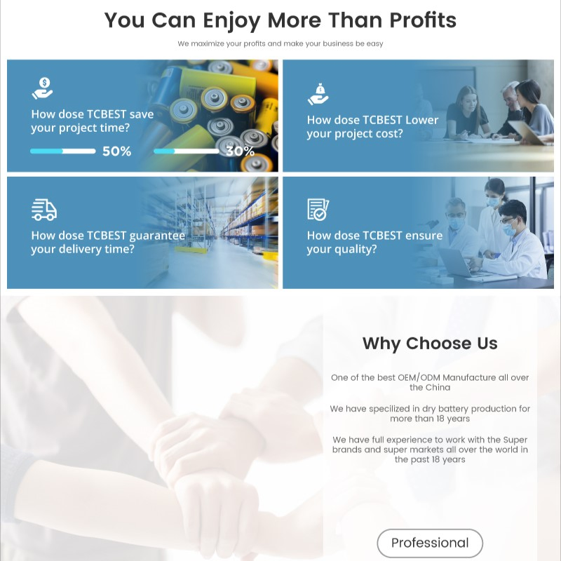 Un38.3/MSDS Rechargeable 3.7V 1000mAh 102050 Lipo Lithium Ion Battery for Home Appliance