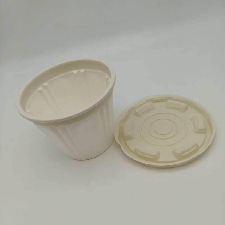 Environmentally Friendly Compostable Corn Starch Disposable Takeaway Bowl with Lid