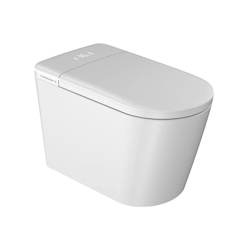 Simple Hot Selling, Fashionable Ceramic Wall Mounted Intelligent Toilet