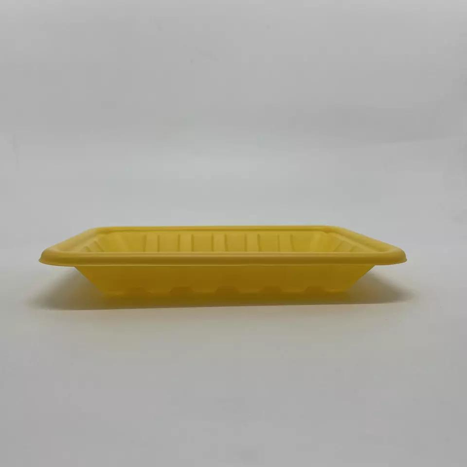 Eco-Friendly Biodegradable PLA Food Tray for Green Dining