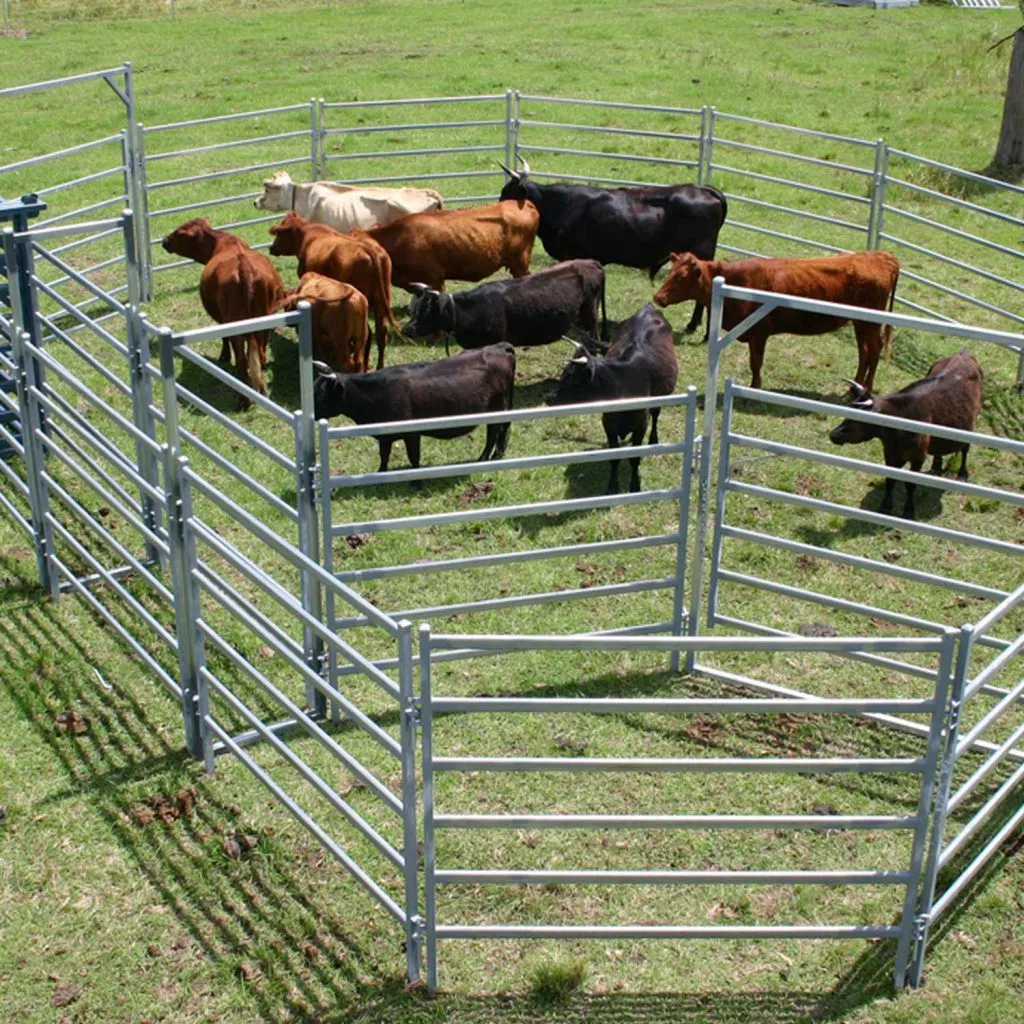 Cattle Yards & Handling Durable Steel Hot DIP Galvanized Portable Cattle Yards