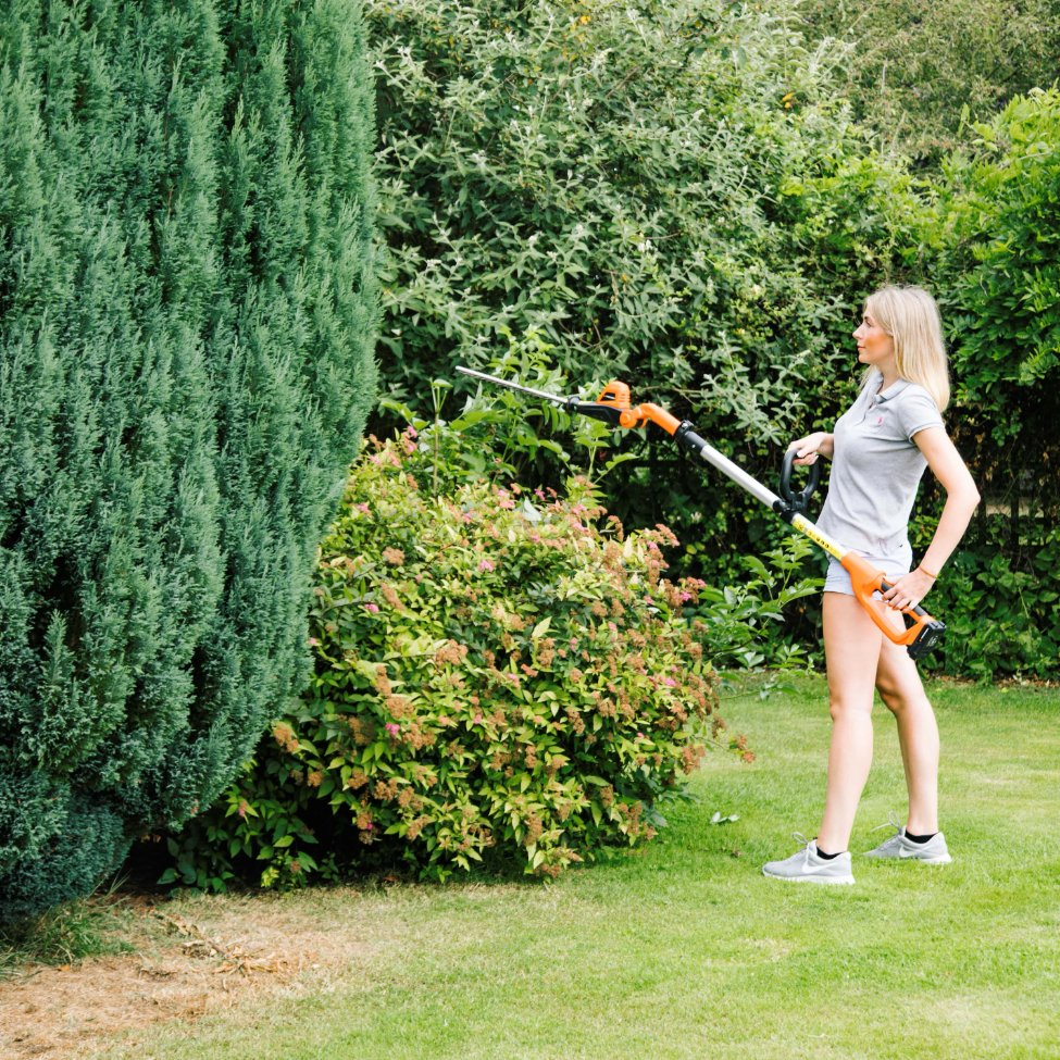 Proper Gap Design Vertical Trimming Cordless Pole Hedge Tree Trimmer - Lh C41A