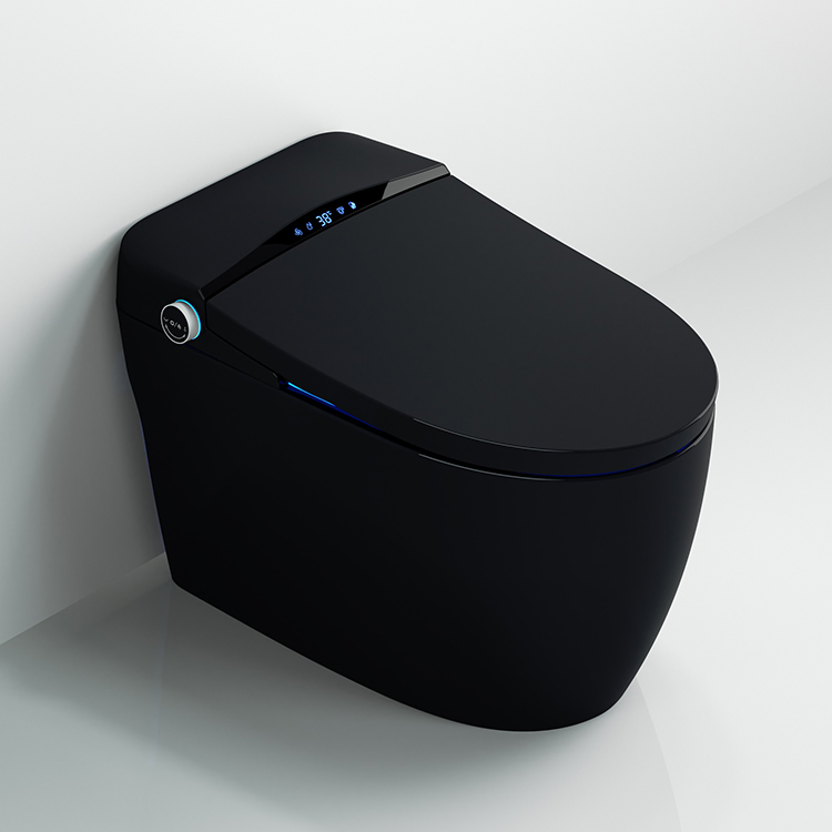 Grey Color Japan One Piece Wc 2021 Ceramic 110V/220V Hygienic Full Automatic Flush Sensor Intelligent Toilet Bowl Smart Toilet