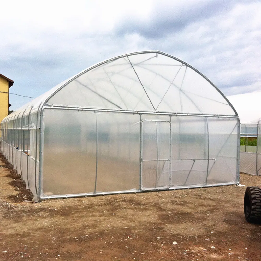 Plastic Film Tent Tunnel Greenhouse Steel Structure for Sale