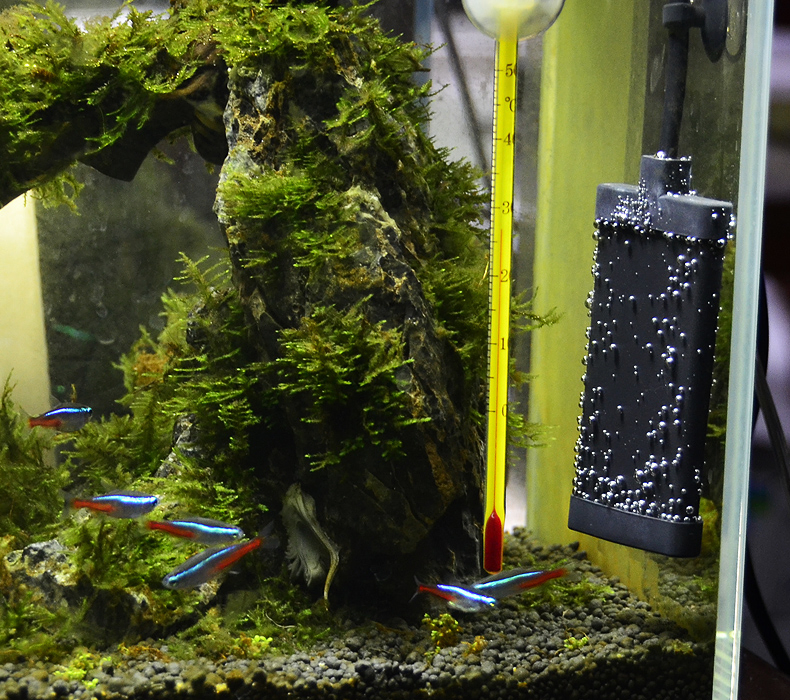 Reliable Aquarium Heater, Mini Tank Heater, Heater for Pet Comfort