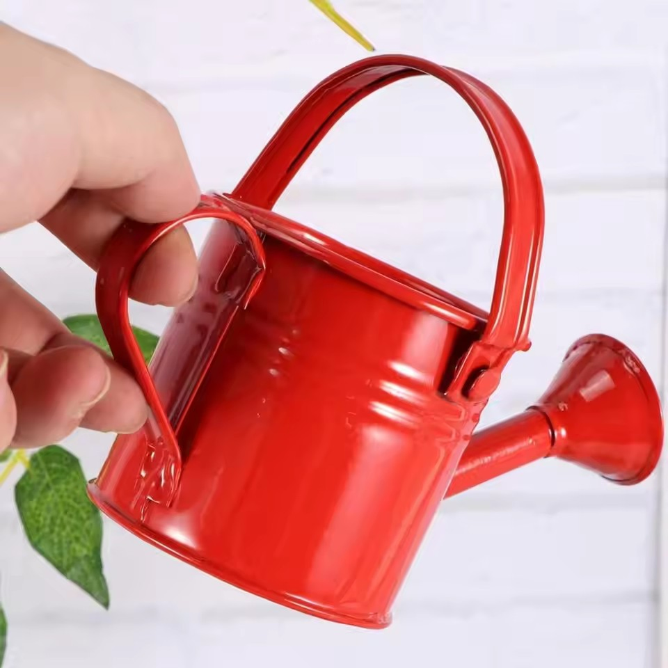 Metal Watering Can Garden Flower Kettle Mini Small Water Spraying Pot Sprinkler with Large Capacity for Kids Adult
