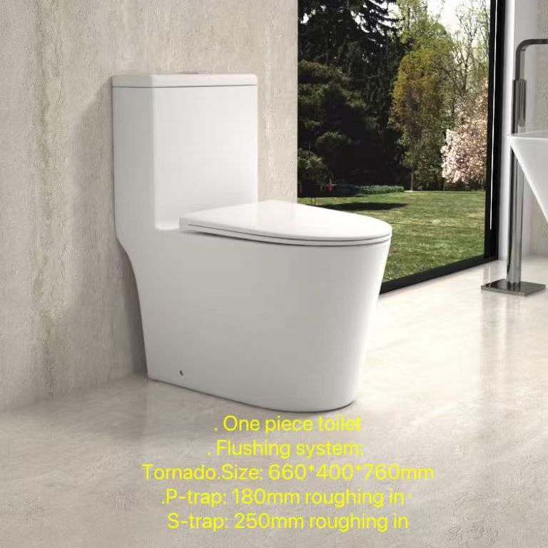 Washdown Tornado One Piece Ptrap/Strap 250mm Ceramic Toilet for Middle East