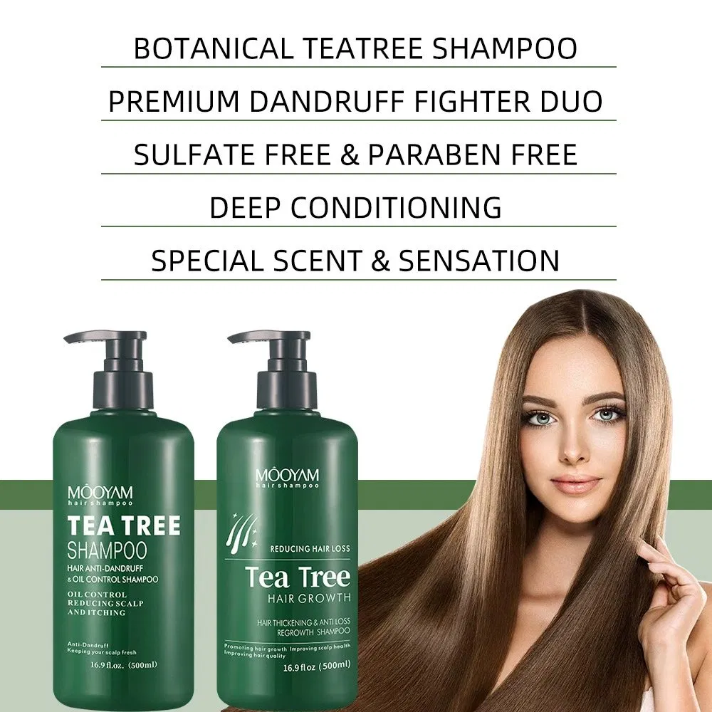 Natural Hair Grow Shampoo Organic Ginger Mint Tea Tree Oil Shampoo Hair Growth Oil Shampoo