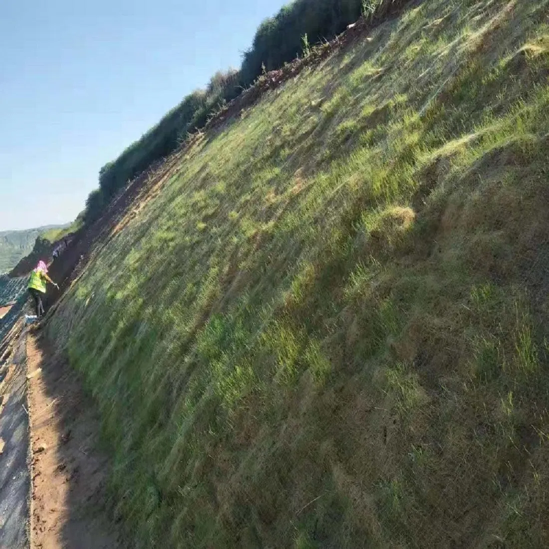 Natural Coconut Fiber Mat for Effective Riverbank Erosion Control