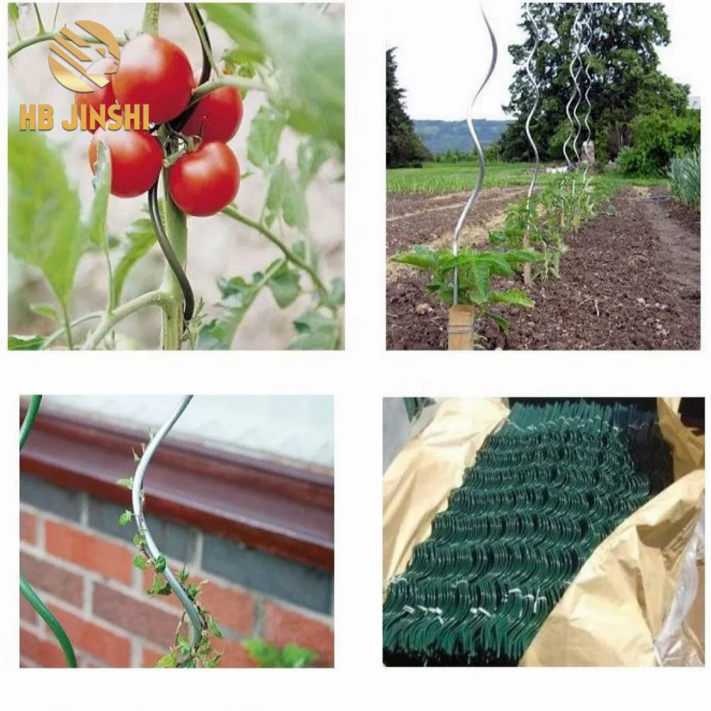 Heavy-Duty Galvanized Spiral Tomato Support Wire Rod 6.5mm