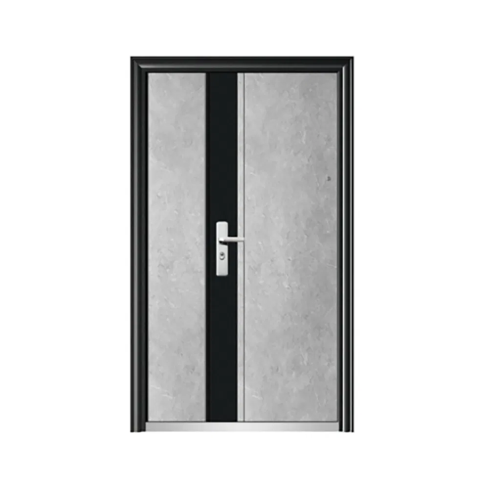 Steel Back Door and Frame Entry Exterior Metal Design Steel Door