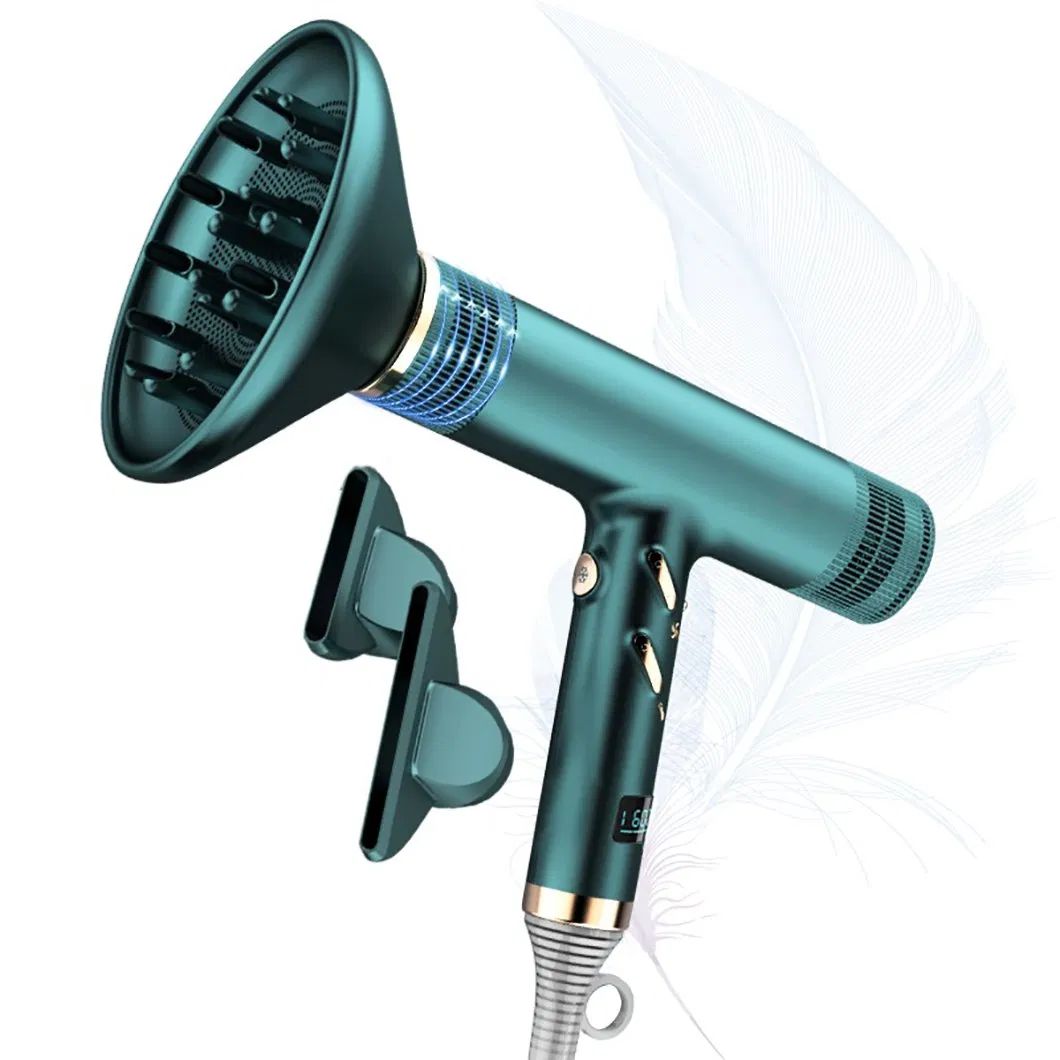 High Quality and Speed Digital Display Portable Thermostatic Negative Ion Hair Dryer