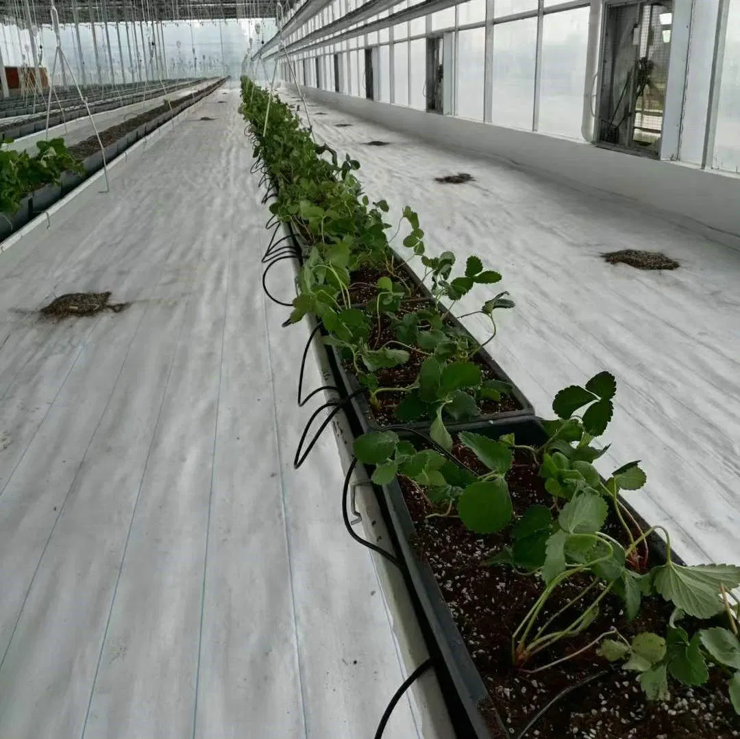 Agricultural Ground Covering PP Woven Weed Barrier Landscape Fabric