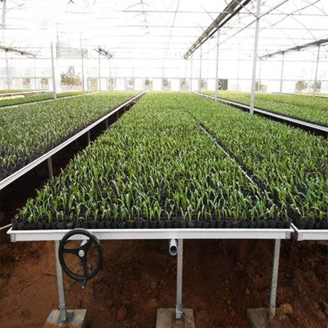 PE Po Agriculture Greenhouse for Vegetables fruit