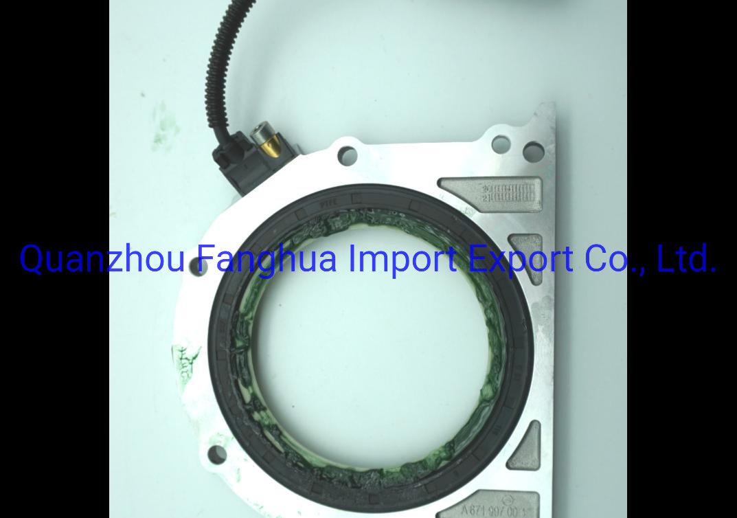 Genuine Crankshaft Rear Oil Seal