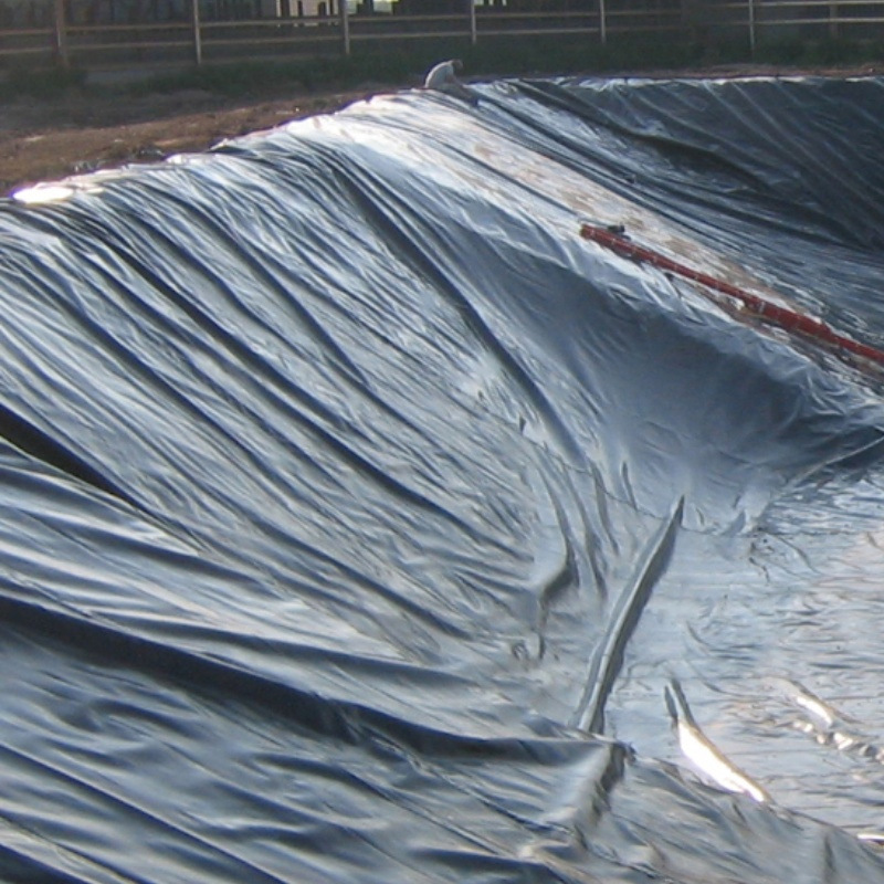 PP Geomembrane for Construction Site, Protecting Soil Landfills Water Pond and Dam Liner