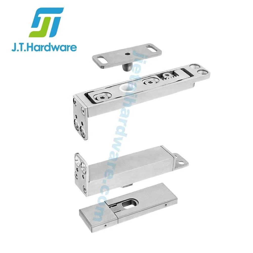Stainless Steel Adjustable Conceal Side Axis Pivot Hinge Floor Spring for Glass Door