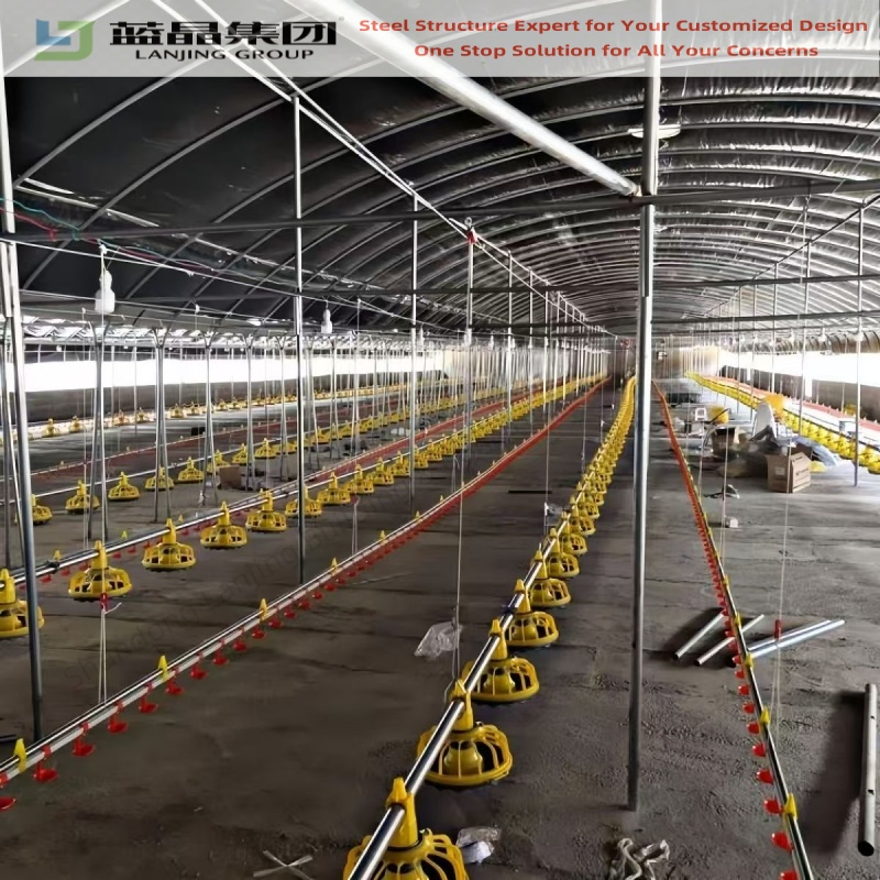 Light Weight Steel Structure Shed for Chicken Duck Raising 50000 Capacity Poultry Farm Welding Jaula Para Gallos De Pelea House