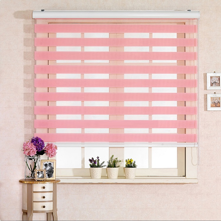 Home Decoration Day and Night Cheap Zebra Blinds