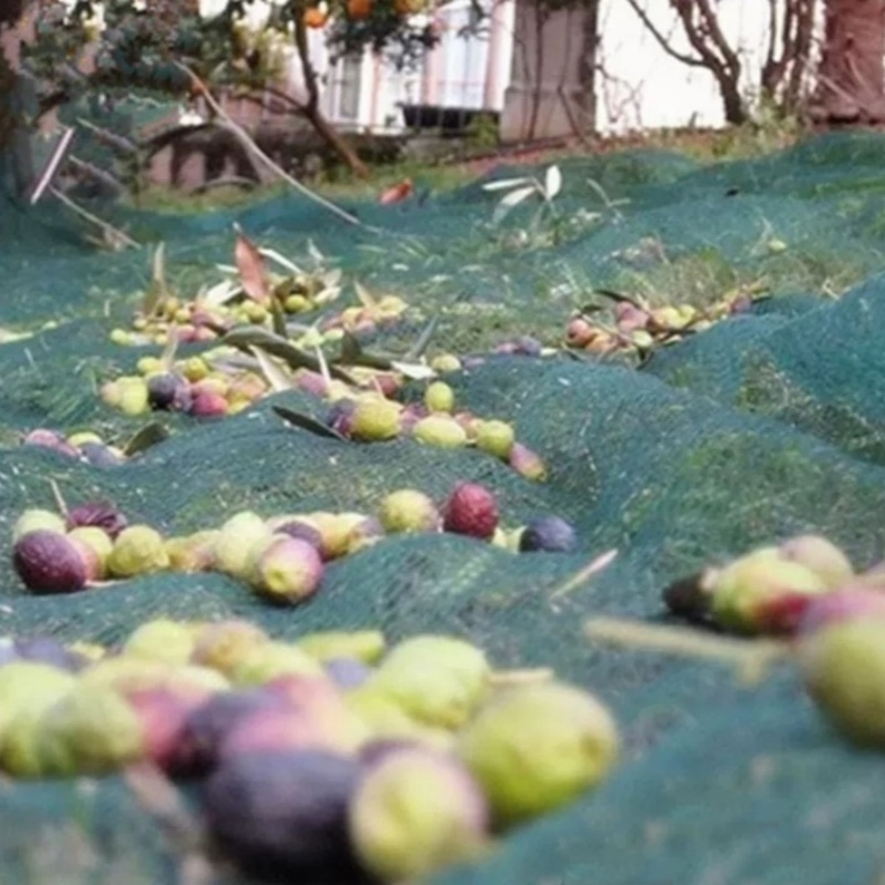High-Quality Olive Collecting Netting Mesh Net for Fruit Harvest