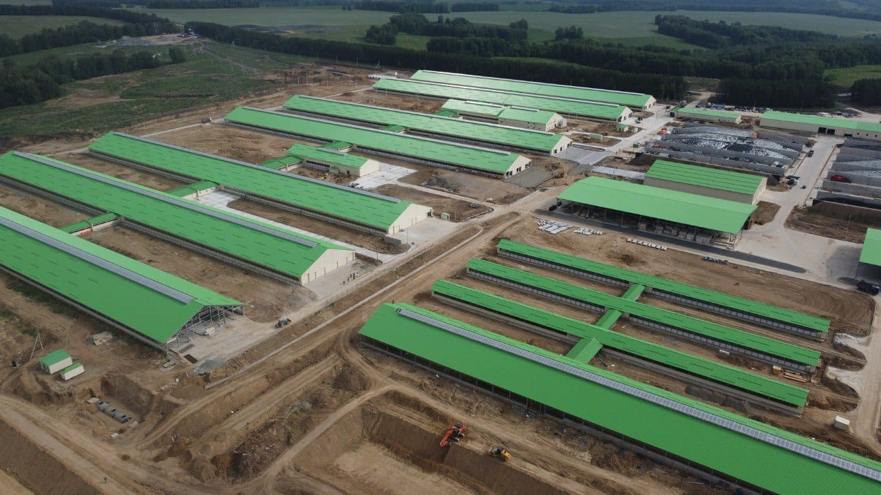 Prefabricated Steel Structure Building for Chicken/Cow Farm