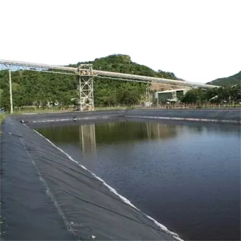 1.5mm 2mm HDPE Fish Farm Pond Dam Liner Geomembrane