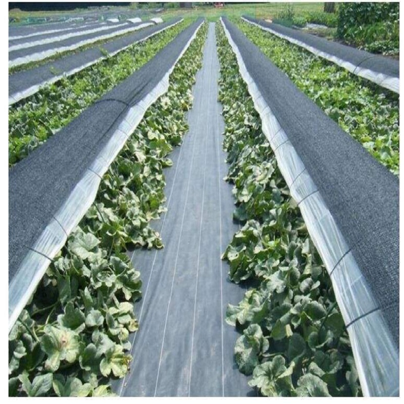 Polyester/Polypropylene Woven Geotextile 80-150G/M2 Agricultural Material