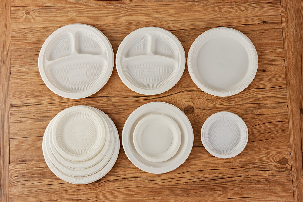 Biodegradable Eco Friendly Disposable Plates 10 Inch for Meal Party Camping Picnic