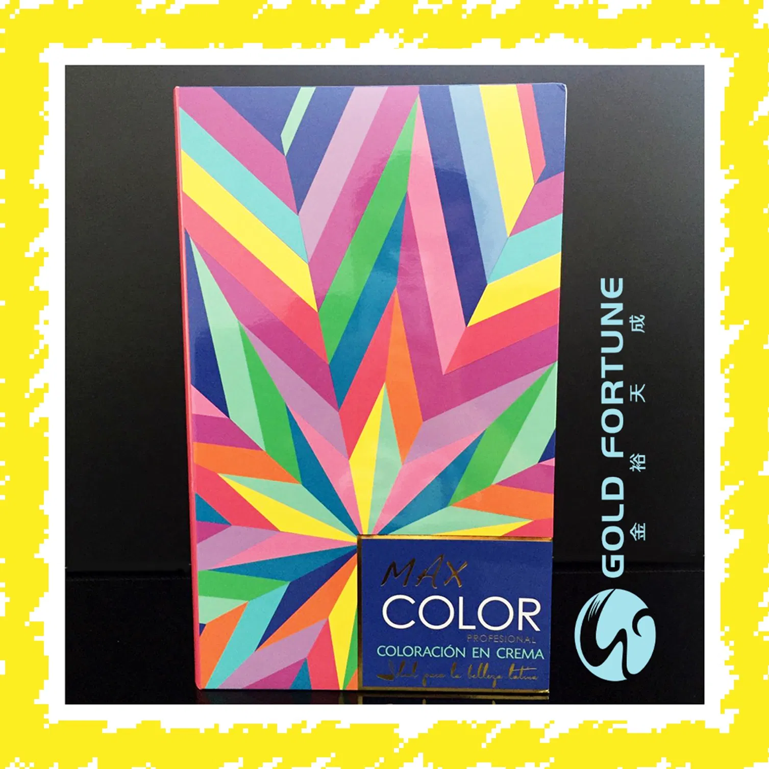 Wholesale Salon Hair Colour Chart Kit