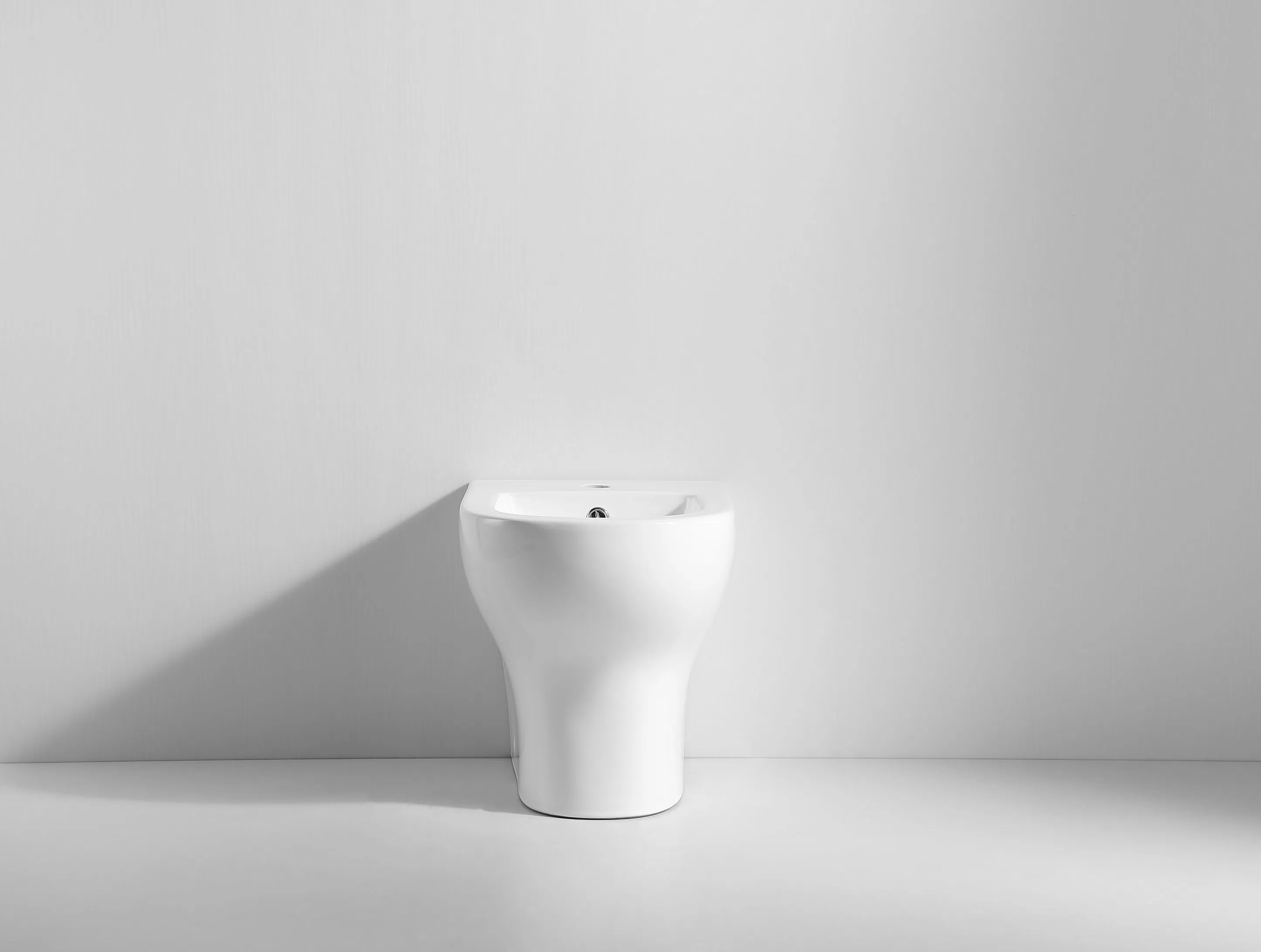 Bathroom Toilet Ceramic Floor Mounted Bidets Lady Care One Piece Special Care Bidet