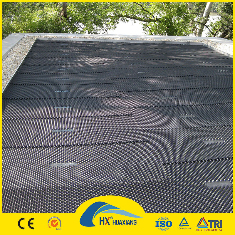 Waterproofing 8mm Plastic Dimple Drainage Board Dimple Drain Board for Underground Outdoor Wall Seepage Prevention