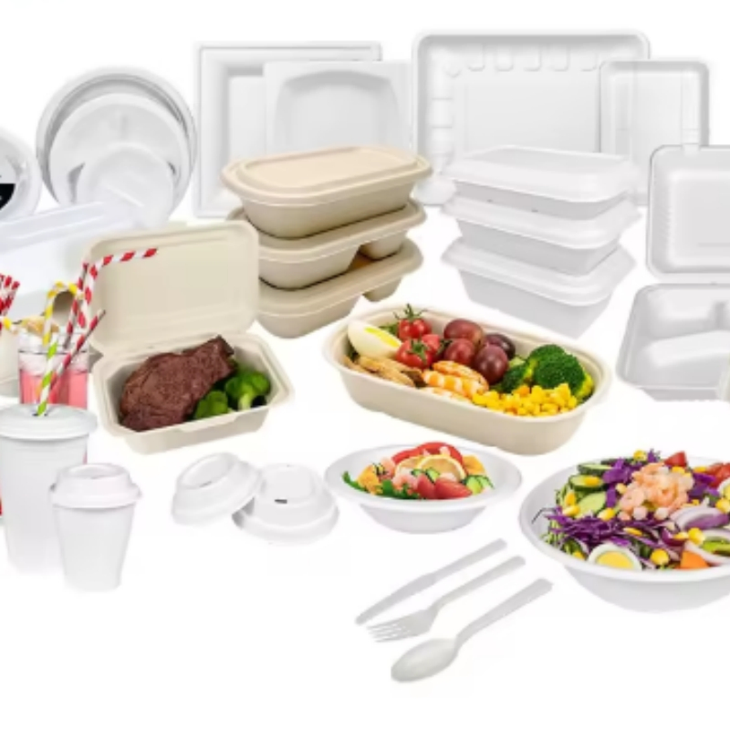 Bagasse 6 Inch 7 Inch 9 Inch 10 Inch Salad Plates