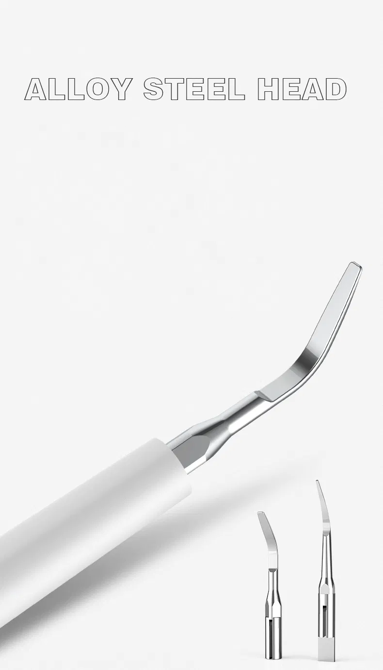 OEM 4 Gears Rechargeable Automatic Ultrasonic Tooth Cleaner Sonic Electric Toothbrush