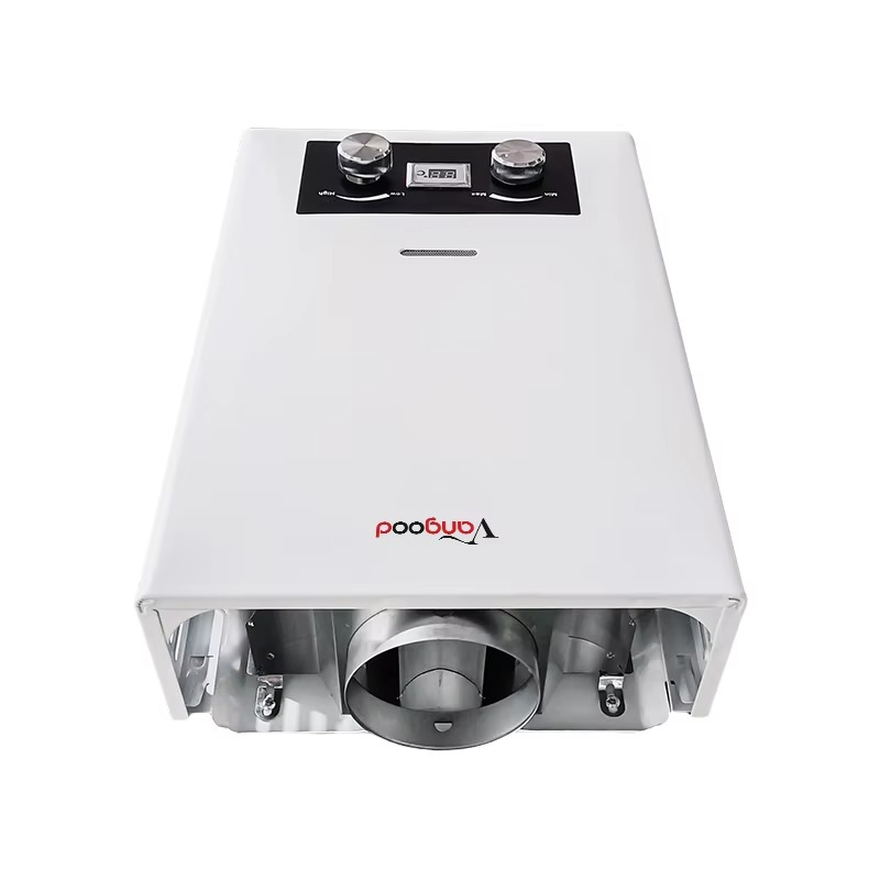 High Quality Custom Villa Natural Gas Geyser Wall Mounted Tankless Gas Water Heater 6L