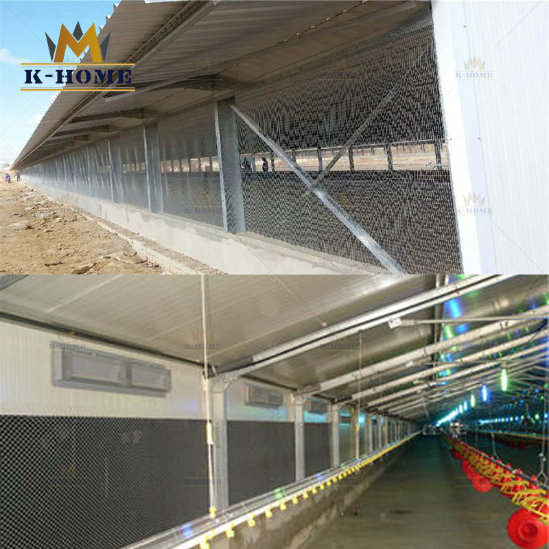 Cheap Chicken Layer House Steel Structure Poultry Farm for Sale